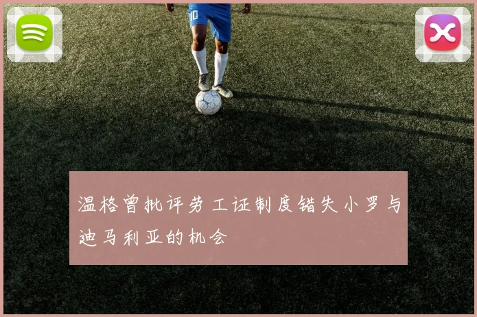 温格曾批评劳工证制度错失小罗与迪马利亚的机会